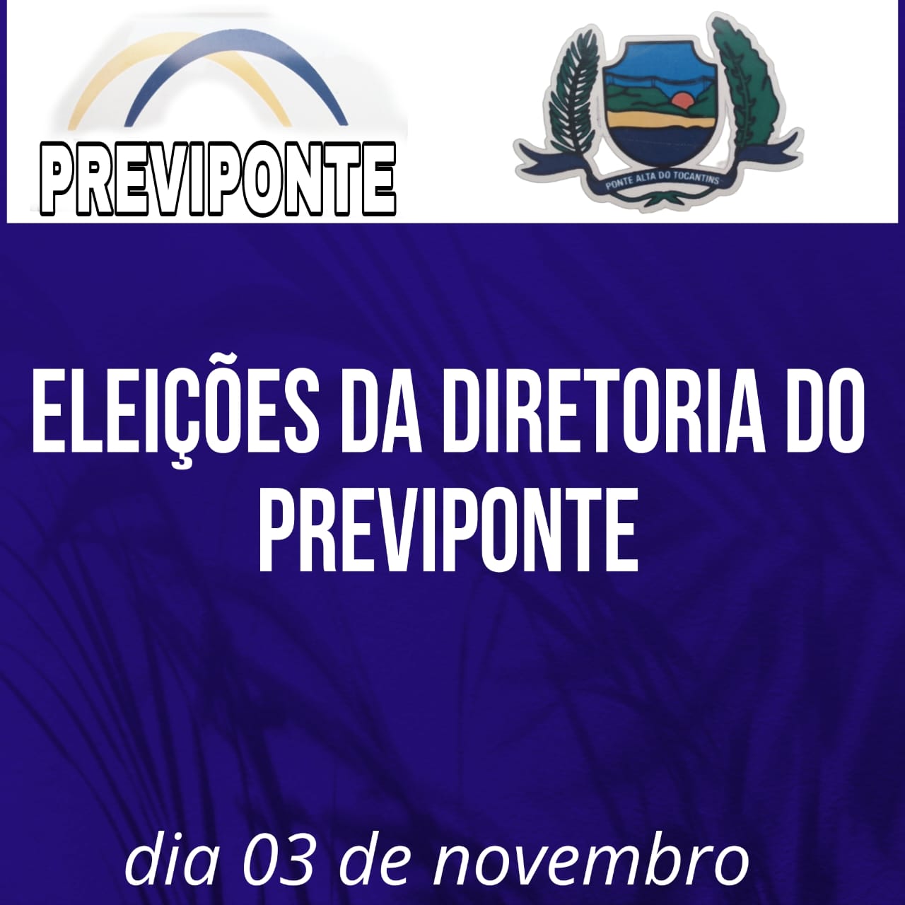 Imagem da notícia 1